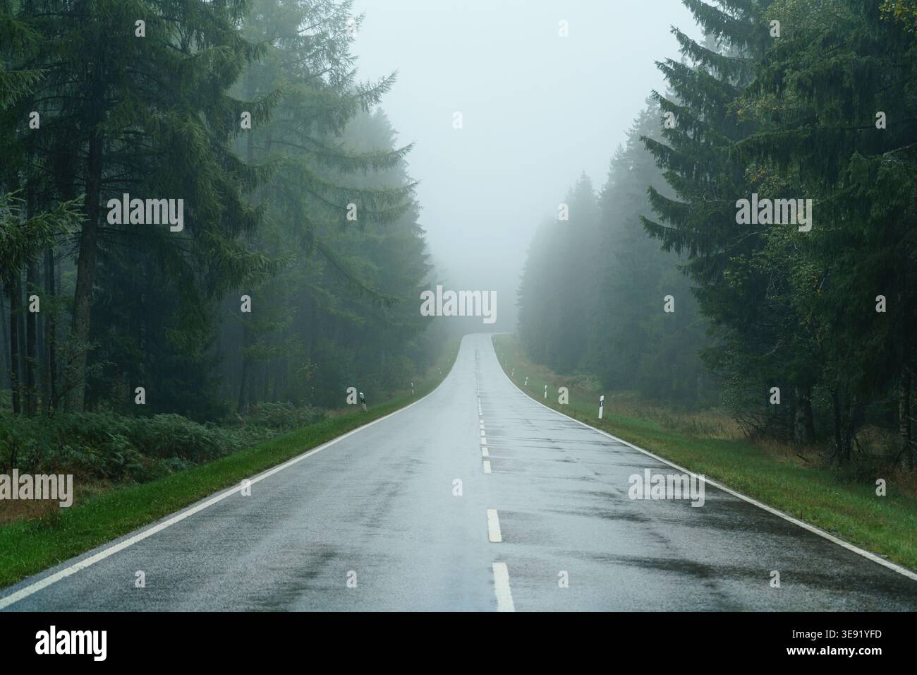 Una strada nebbiosa attraverso la foresta. Nebbia e pioggia sulla superstrada. Foto Stock