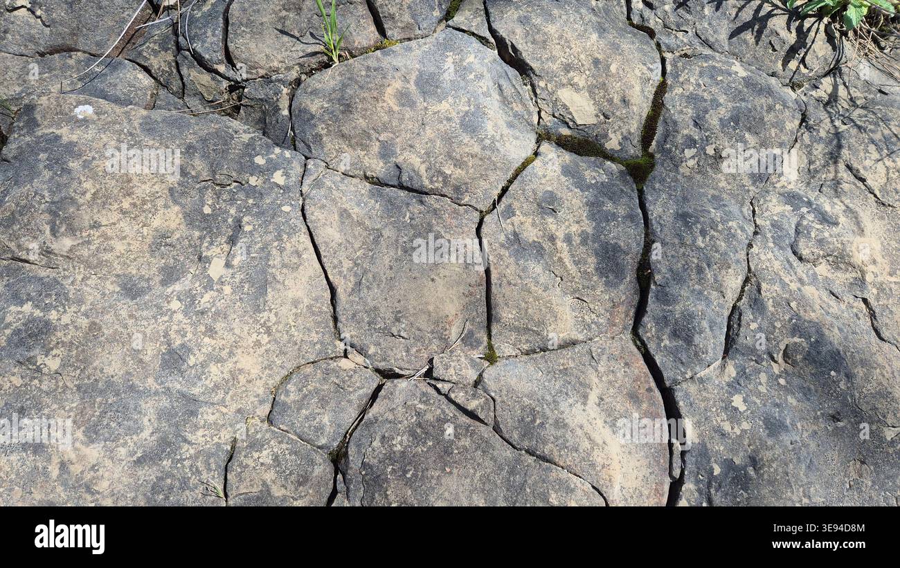 Vista dall'alto della struttura della formazione rocciosa con pavimentazione in pietra calcarea naturale. Calcare incrinato in natura. - Immagine stock catturata con smartphone