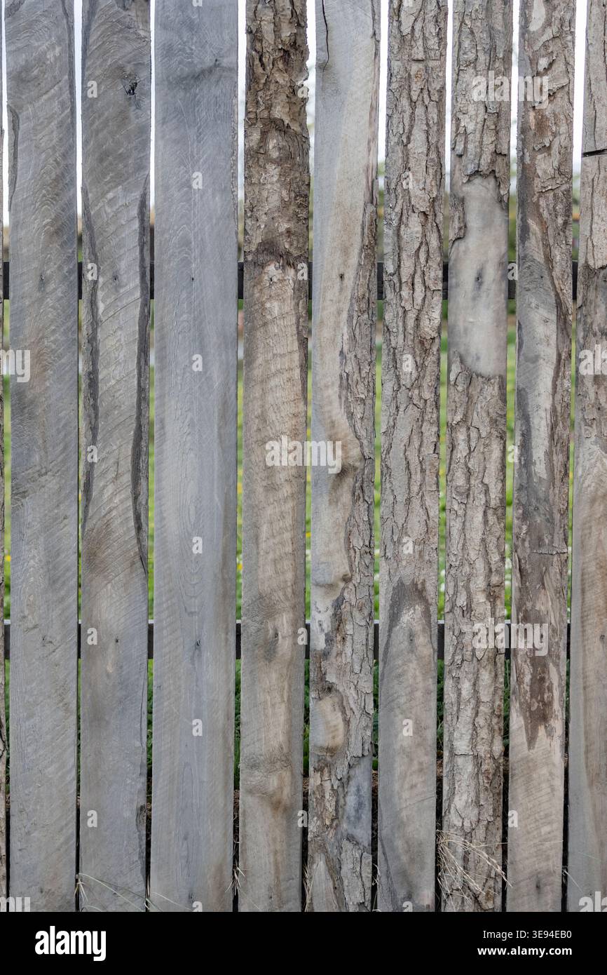 Dettaglio di tavole di legno logore di vecchia recinzione, scattate con la luce nuvolosa estiva a puerto Natales, ultima Esperanza, Magallanes, Cile Foto Stock
