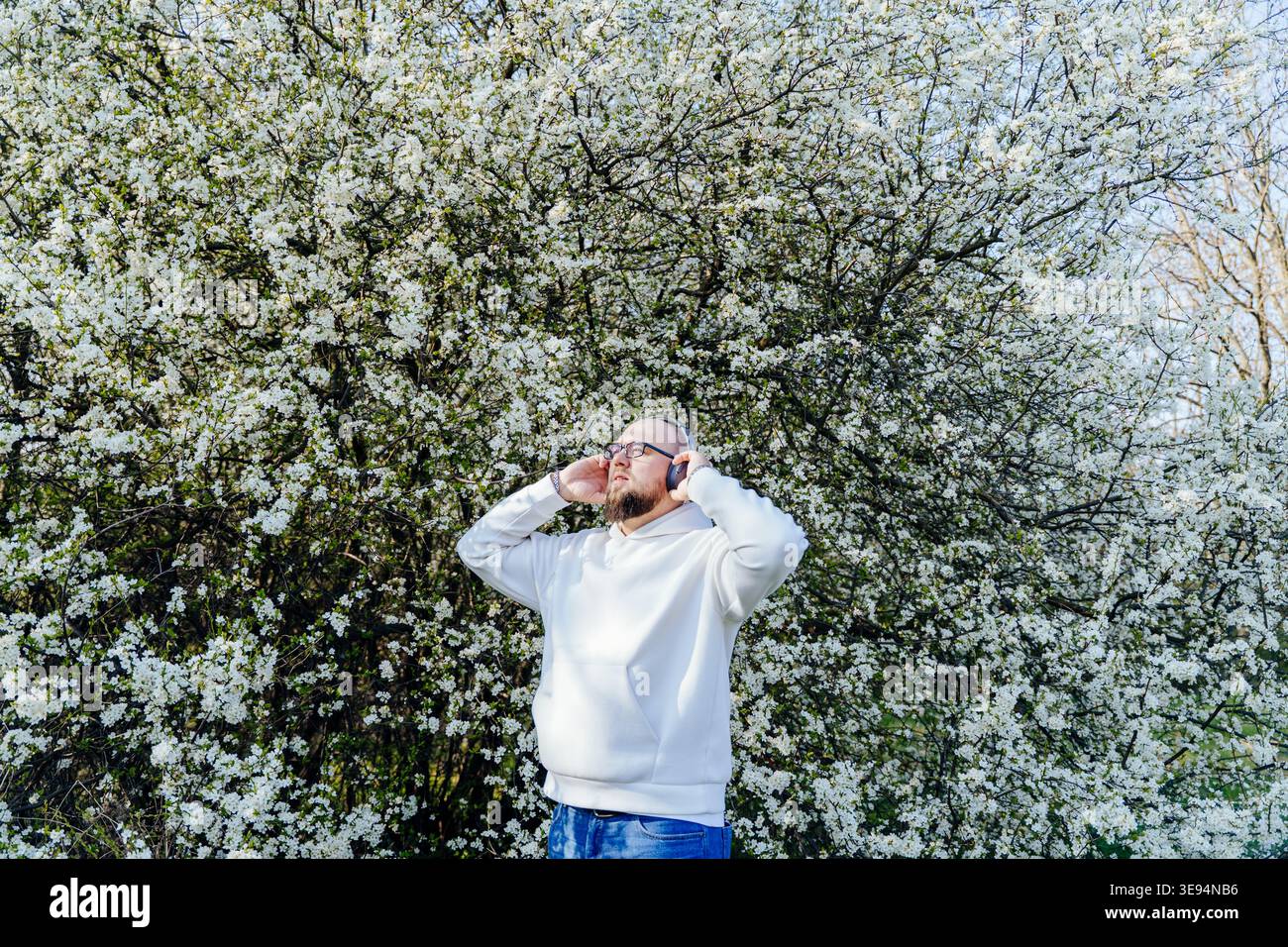 Uomo barbuto che indossa le cuffie vicino a un albero in fiore in primavera Foto Stock