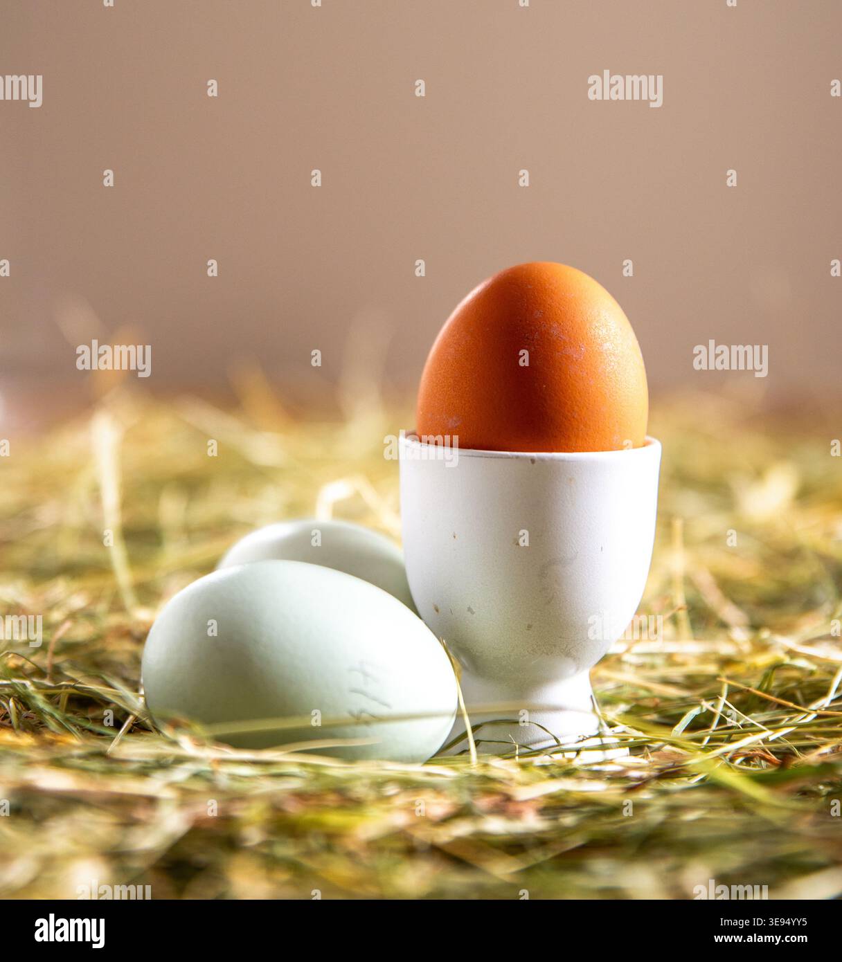 Uova ruspanti Foto Stock