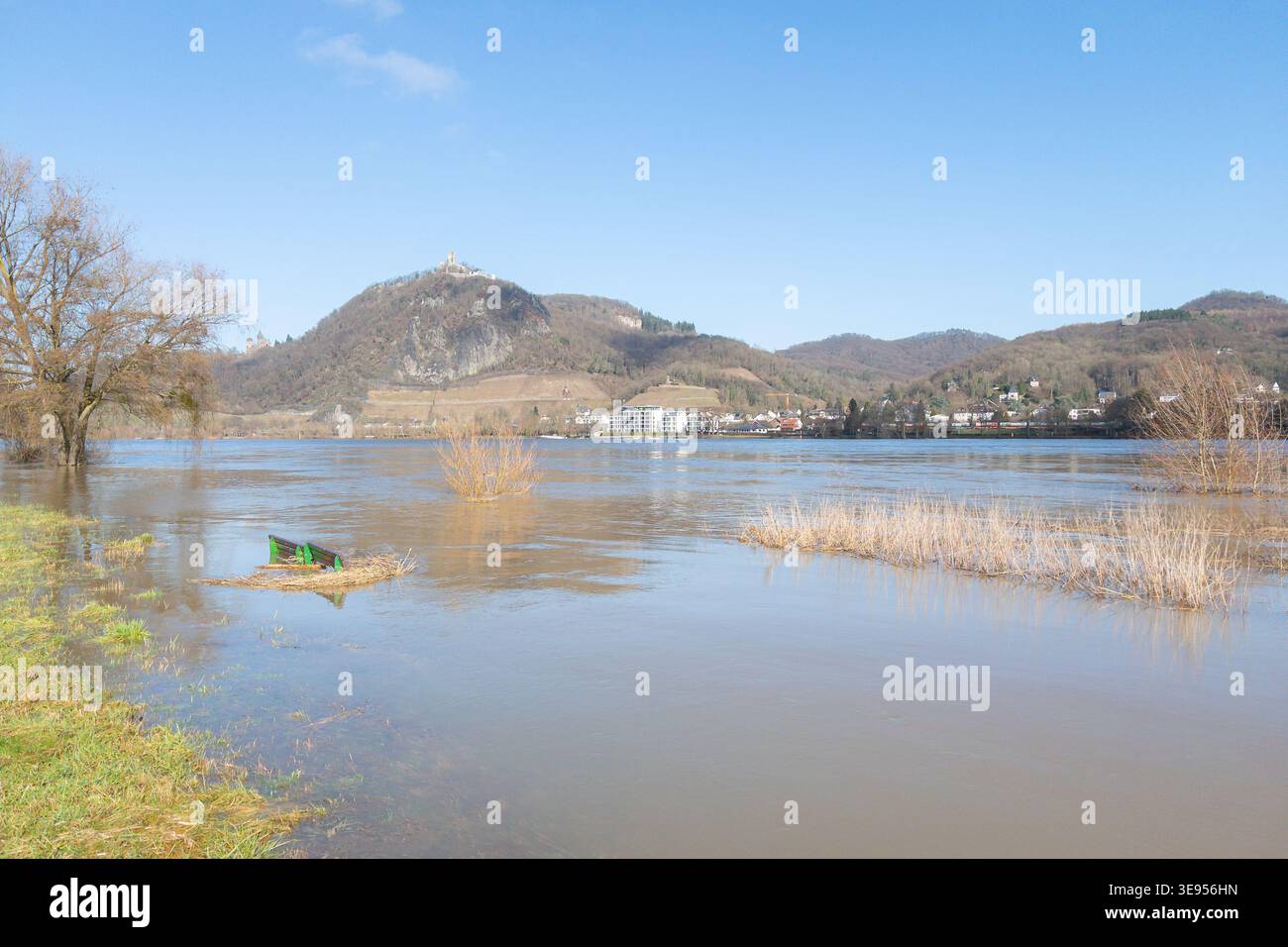 Le acque alluvionali del Reno coprono prati e panchine con dietro Drachenfels. Foto Stock