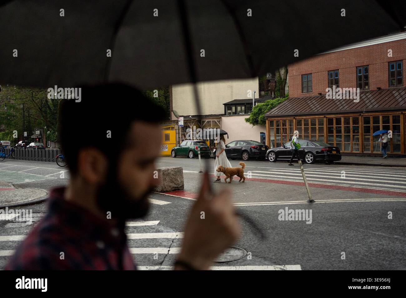 Un uomo con la barba tiene un ombrello nero sulla testa mentre cammina attraverso una strada della città con un cane al guinzaglio. Foto Stock