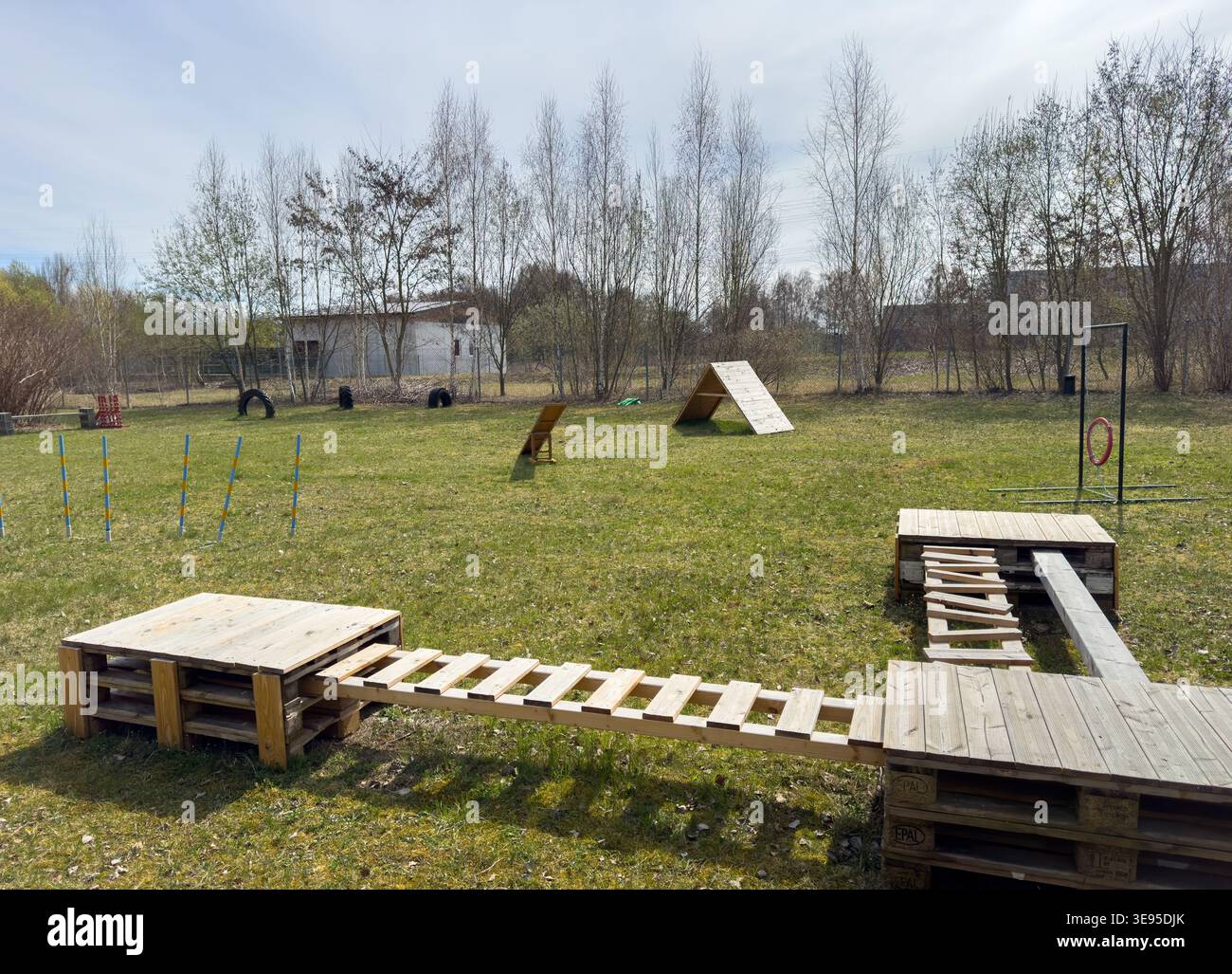 Palestra all'aperto per l'allenamento dei cani Foto Stock