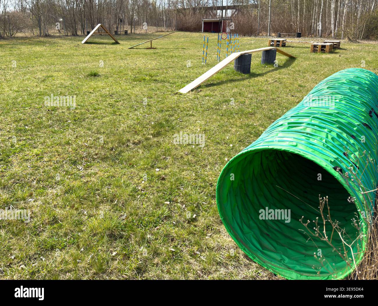 Palestra all'aperto per l'allenamento dei cani Foto Stock