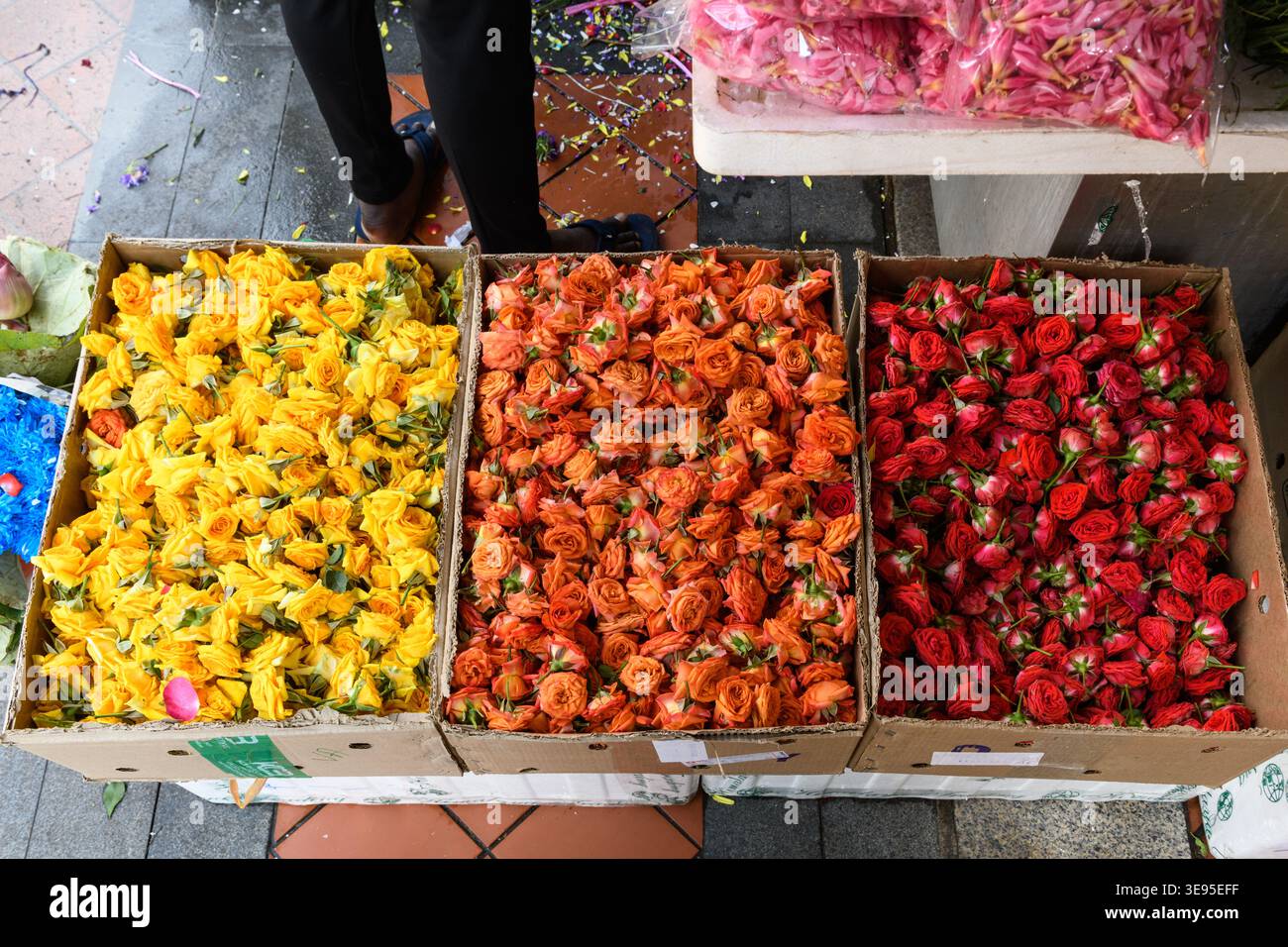 Un mix di teste di fiori di rosa che simboleggiano bellezza, purezza, dedizione e divinità, usato dai fedeli indù per l'offerta pooja agli dei indù e a dio Foto Stock