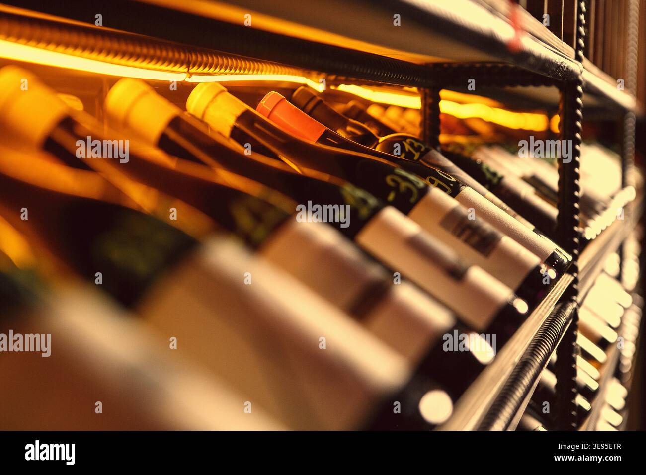 Bottiglie di vino con luce dorata su scaffale metallico Foto Stock