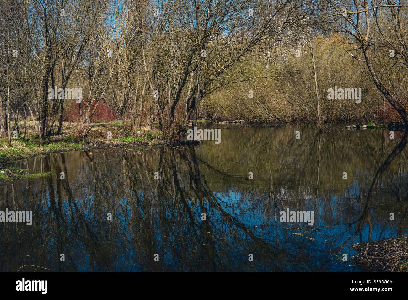 Tranquillo laghetto primaverile con riflessi a specchio del cielo blu e degli alberi in erba. Perfetto per editoriali naturalistici, contenuti di consapevolezza e stagionali Foto Stock