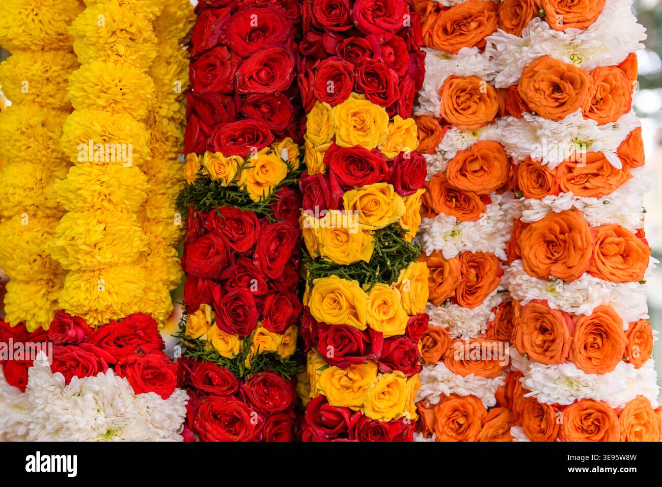 Collane di fiori colorate che simboleggiano la bellezza, la purezza, la dedizione e la divinità, utilizzate dai fedeli indù per l'offerta pooja agli dei indù e ai godd Foto Stock