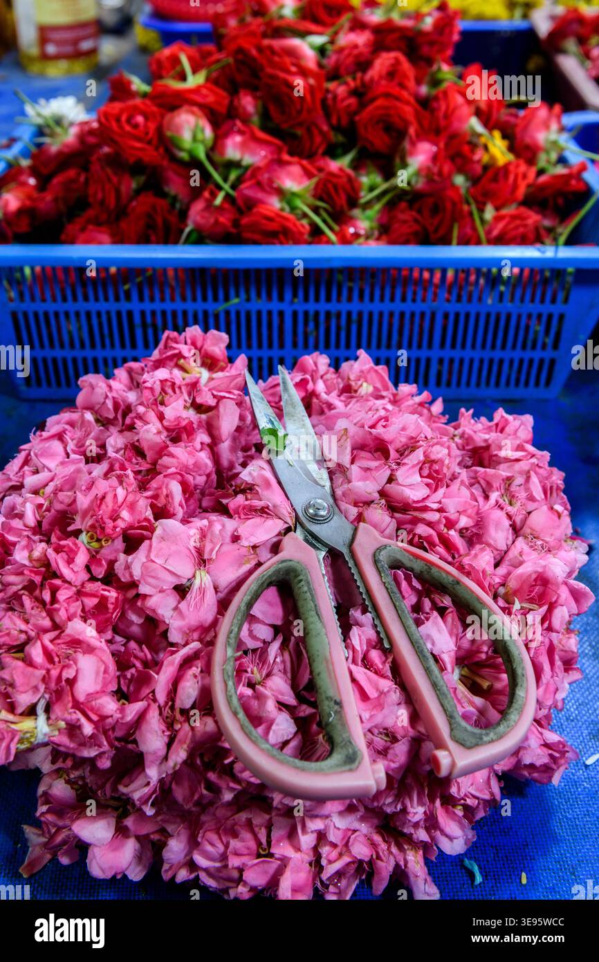 Petali di fiori colorati che simboleggiano la bellezza, la purezza, la dedizione e la divinità, usati dai fedeli indù per l'offerta pooja agli dei indù e alla dea Foto Stock