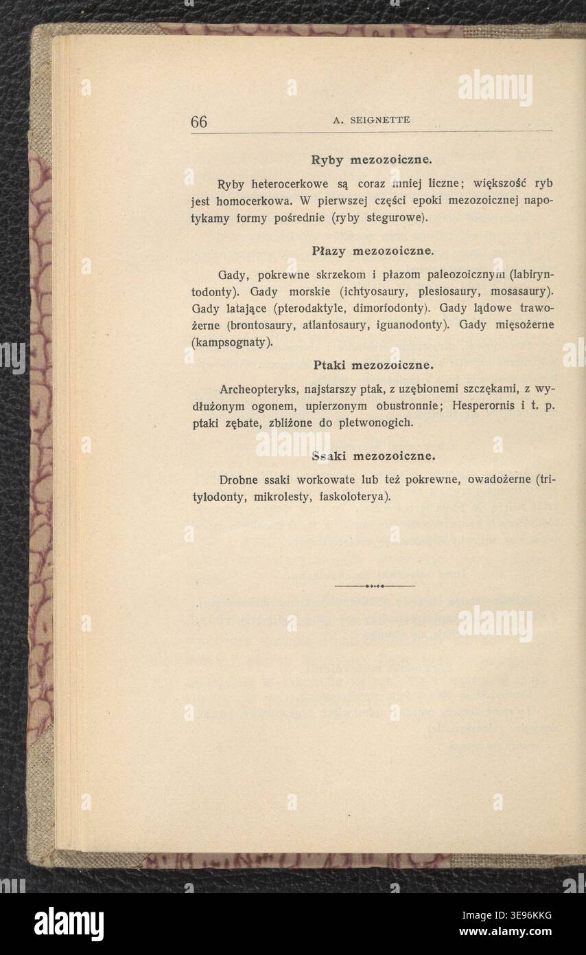 A. Seignette (attivo nel 1904) pubblicò "Zwierzeta epok ubieglych", con animali preistorici ed estinti. Le illustrazioni sono state realizzate da Jan Lewiński (1876-1939). L'immagine di archivio riproduce l'edizione 1904. Foto Stock