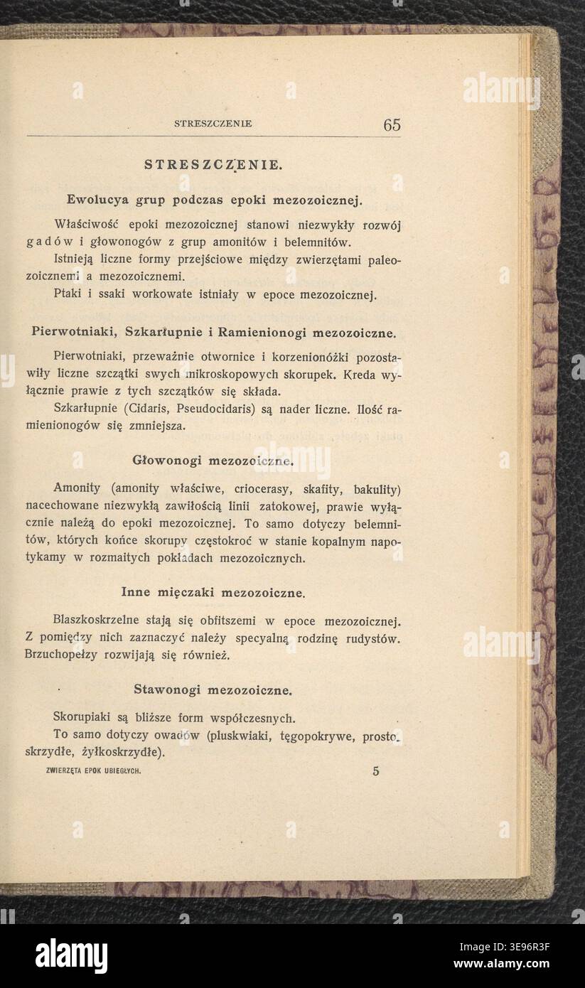 A. Seignette (attivo nel 1904) pubblicò "Zwierzeta epok ubieglych", registrando specie estinte e preistoriche con piatti di Jan Lewiński (1876-1939). L'immagine di archivio riproduce la pubblicazione 1904. Foto Stock