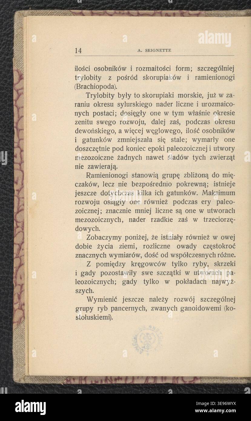 Jan Lewiński (1876-1939) illustrò Zwierzęta epok ubiegłych (1904), descrivendo la fauna storica ed estinta della Polonia. L'immagine di archivio registra le illustrazioni stampate dall'opera pubblicata. Foto Stock