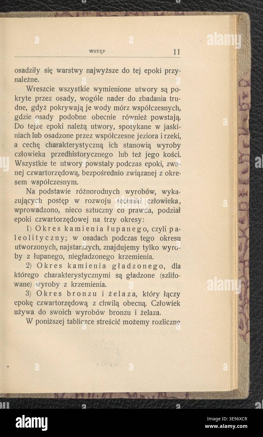 Jan Lewiński (1876-1939) è autore di Zwierzęta epok ubiegłych (1904), illustrando la fauna storica polacca. La stampa fotografica storica registra le illustrazioni stampate di animali estinti in Polonia. Foto Stock