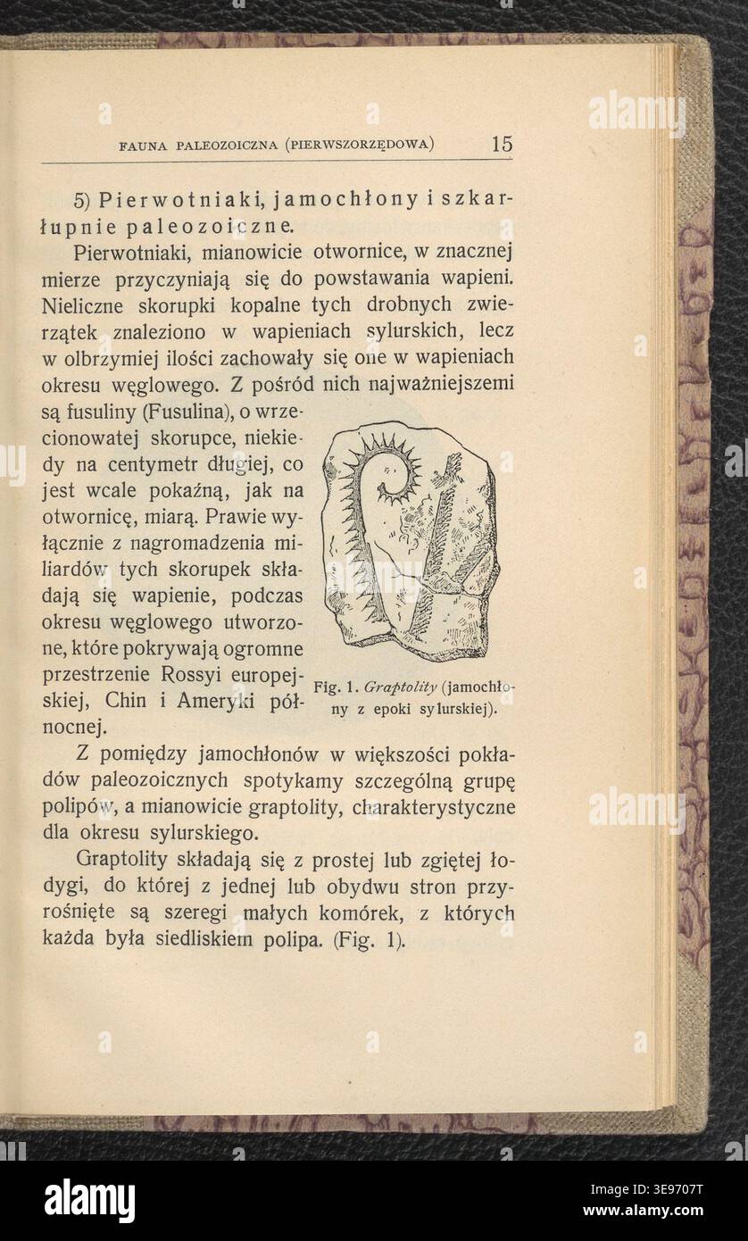 Jan Lewiński (1876-1939) è autore di Zwierzęta epok ubiegłych (1904), una raccolta di animali storici illustrati provenienti dalla Polonia. La stampa fotografica storica mostra le riproduzioni di queste illustrazioni. Foto Stock