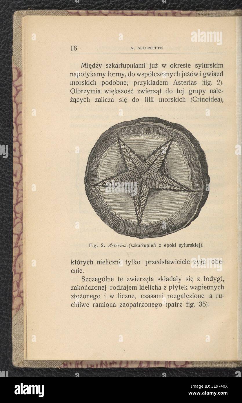 Jan Lewiński (1876-1939) contribuì a Zwierzęta epok ubiegłych (1904), con illustrazioni della fauna storica polacca. La stampa fotografica di archivio riproduce le pagine dal volume stampato. Foto Stock