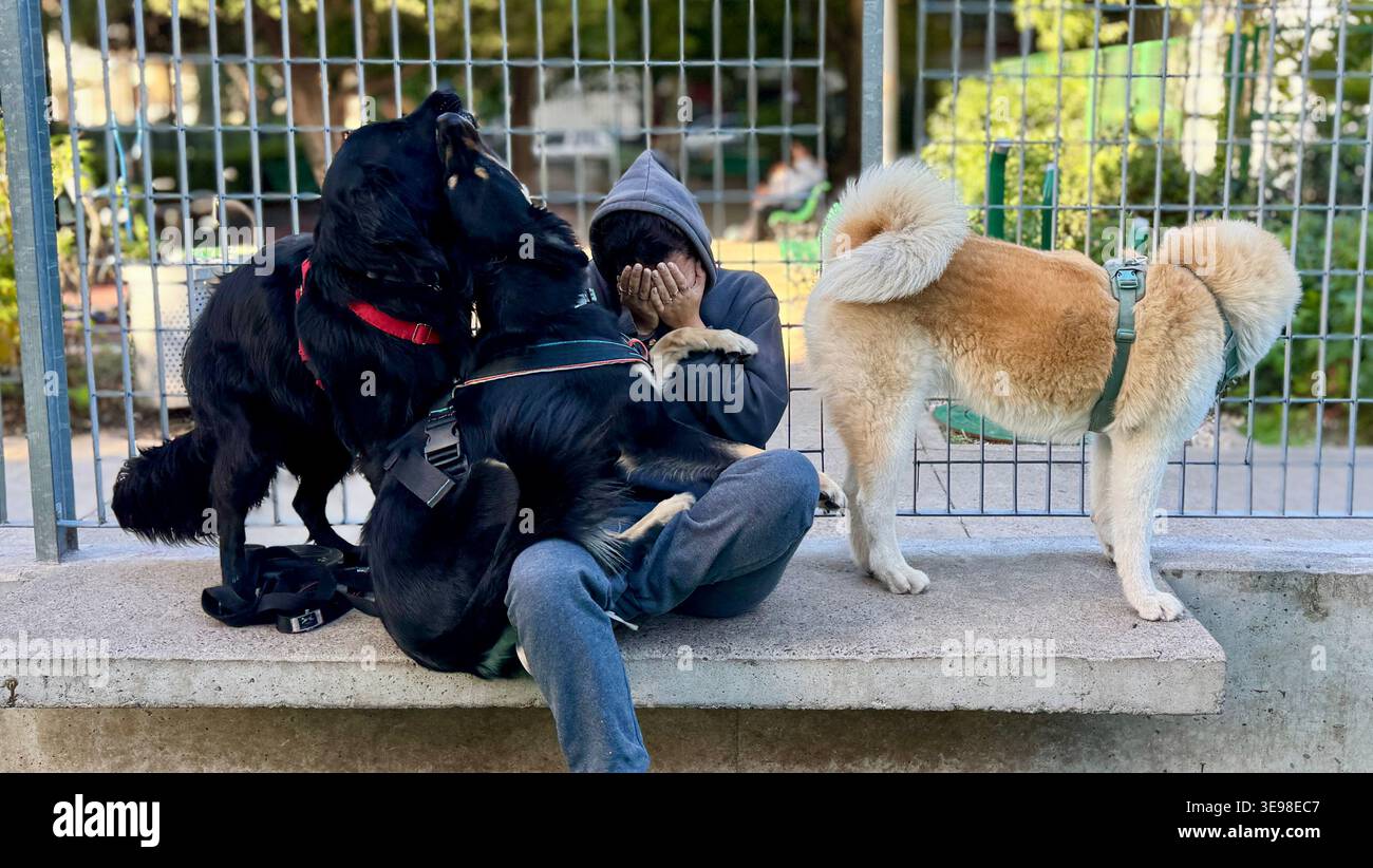 Buenos Aires, Argentina - 4 aprile 2026: Ragazza non identificata che si copre il viso circondata da cani in un parco per cani a Buenos Aires, Argentina Foto Stock