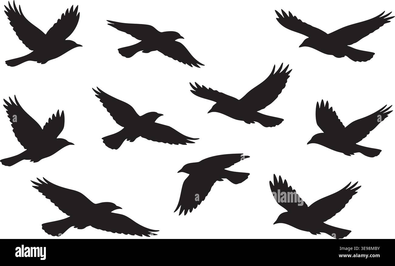 Silhouette di uccelli in volo isolate su bianco con pose dinamiche di volo Illustrazione Vettoriale