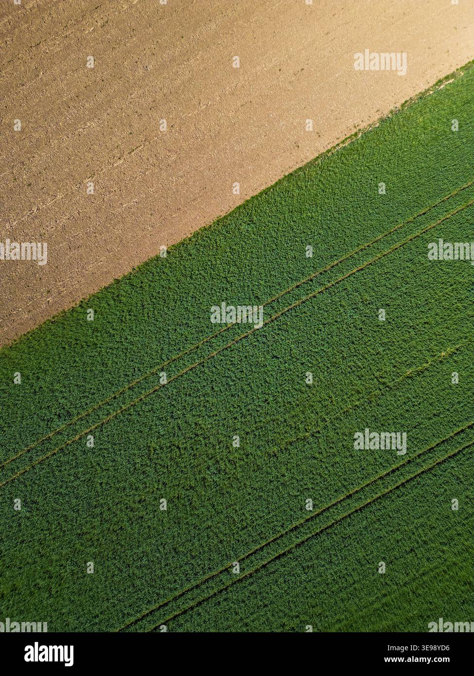 La vista aerea cattura un campo agricolo con diverse aree di prodotto. Colpo dall'alto verso il basso Foto Stock