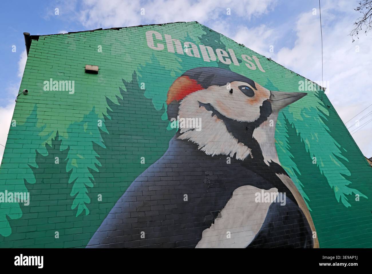 Murale di Chapel Street Levenshulme, artista Richard Preston, Manchester, Inghilterra, Regno Unito. Foto Stock