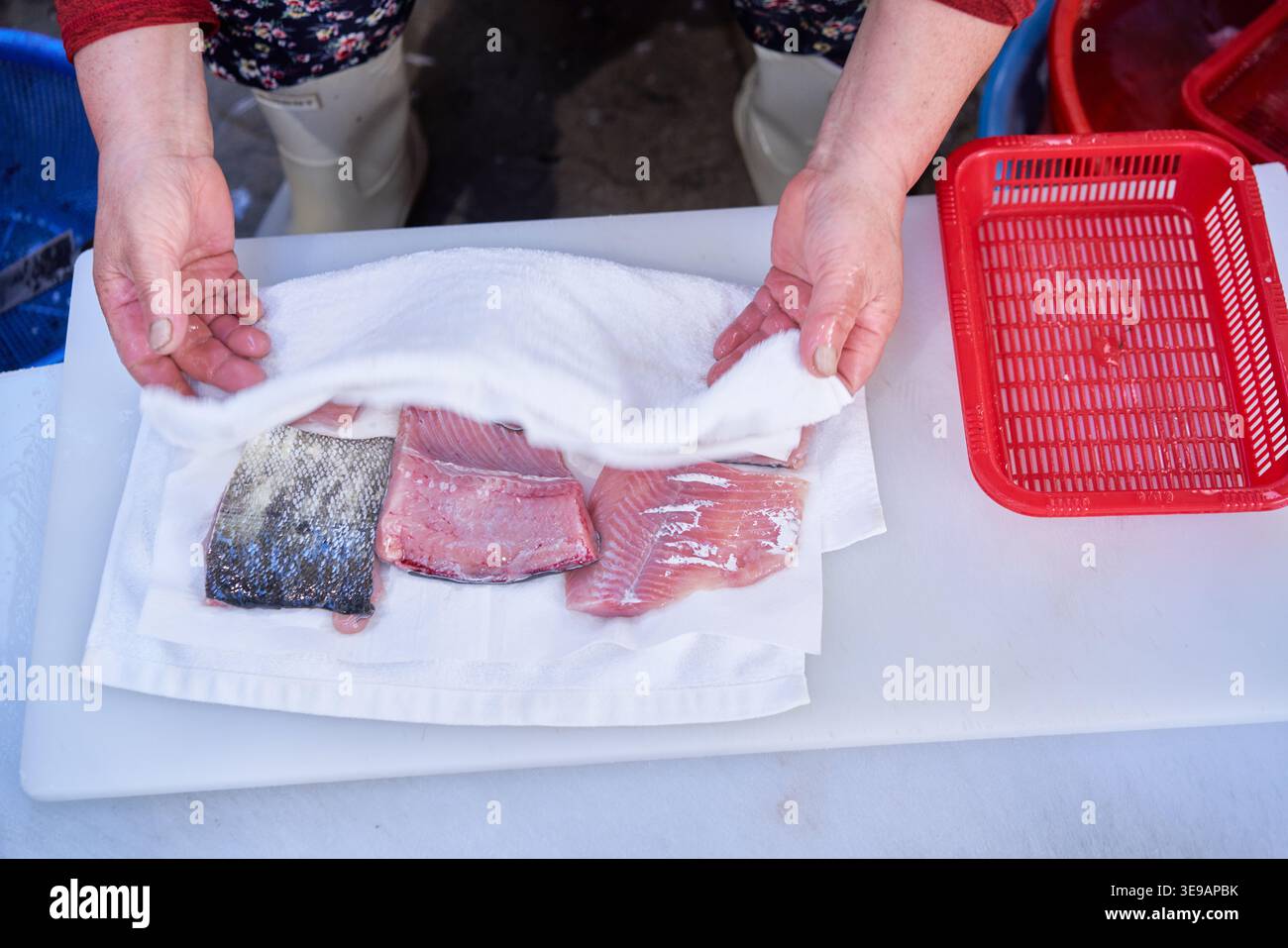 Le foto mostrano la preparazione del salmone domestico, dalla filatura del pescato fresco alla raccolta di uova brillanti alla frittura in padella di un filetto salato in una padella. Foto Stock