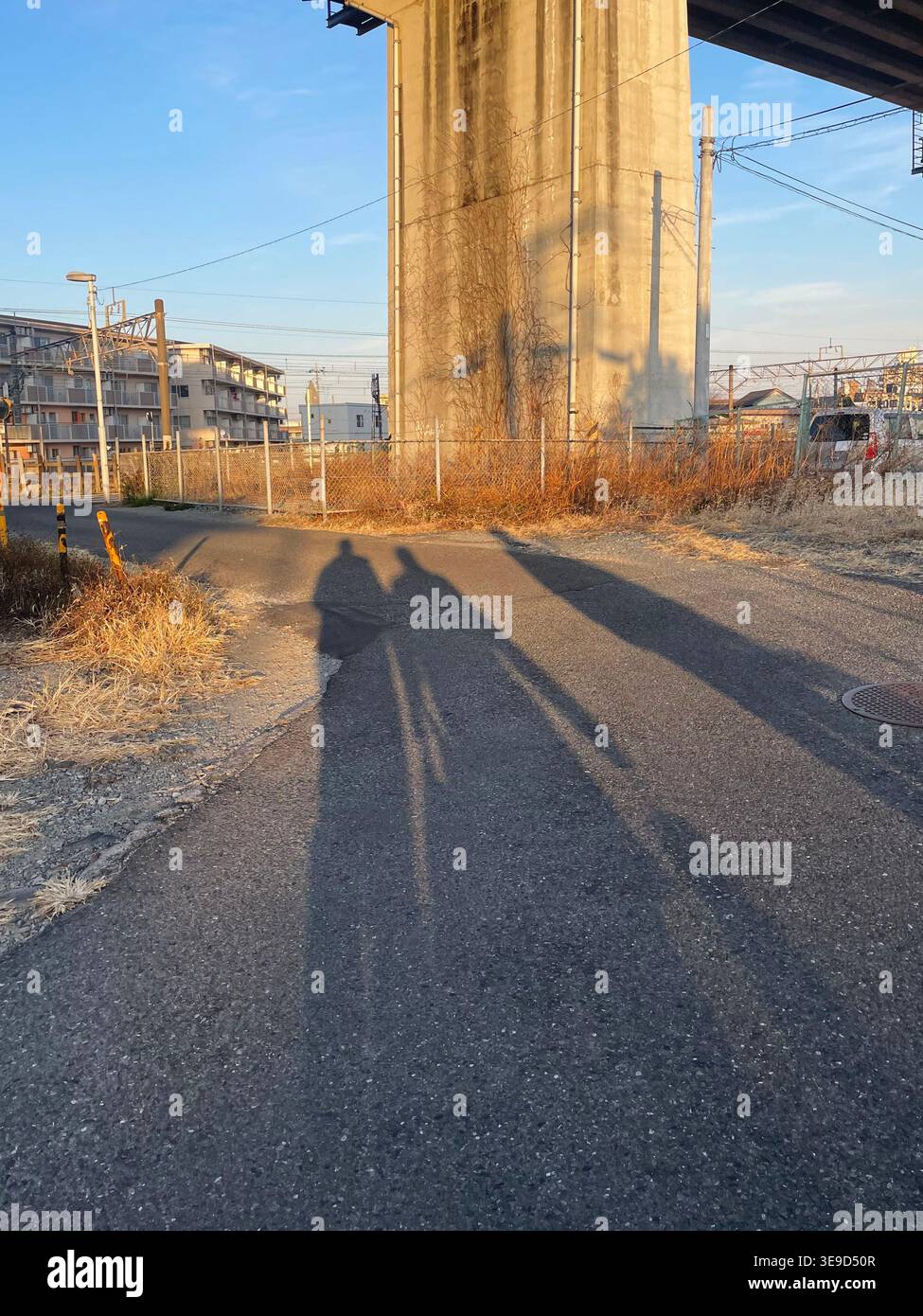 Ombra di tre uomini nel Giappone rurale accanto al pilastro di una pista Shinkansen durante il tramonto Foto Stock