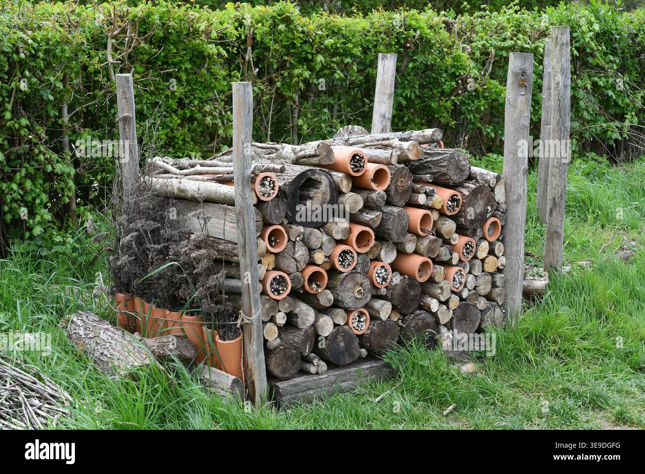 Wildlife Hotel Foto Stock
