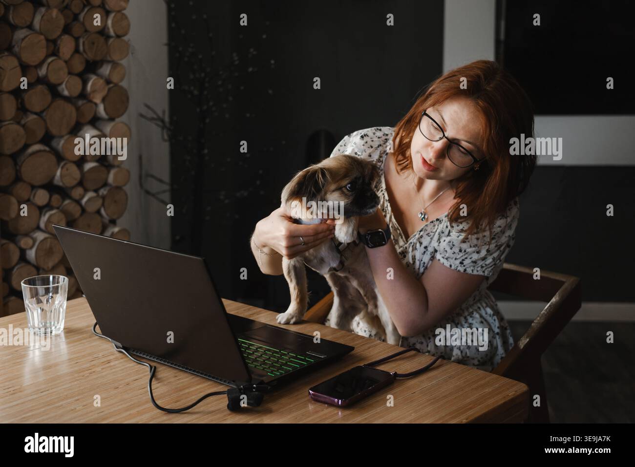 Donna preoccupata che tiene in mano il suo cucciolo durante una consultazione video online con un veterinario su un computer portatile. Telemedicina per animali domestici, assistenza veterinaria a distanza, e. Foto Stock
