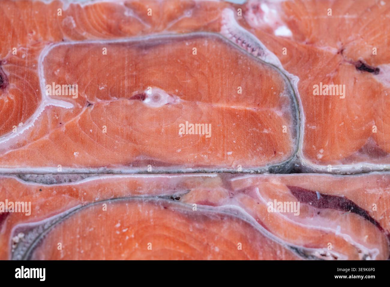 Le fette di salmone congelate vengono visualizzate nel congelatore con condensa e righe di bricchette pulite, illuminazione fredda, sensazione di consumo, polpa arancione brillante e bordi della pelle Foto Stock
