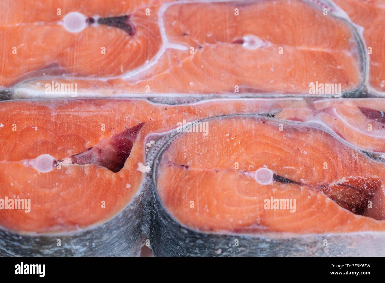 Segmenti di salmone congelati confezionati per il trasporto in blocchi di bricchette uniformi, congelati sigillati, preparati per pallet, sicurezza alimentare e tracciabilità visiva Foto Stock
