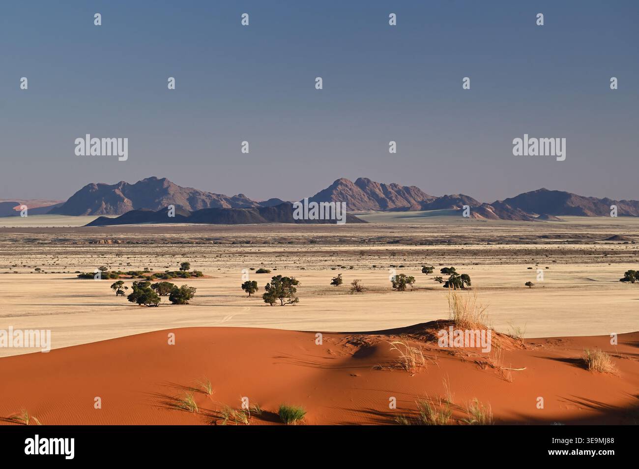 Duna di sabbia rossa e pianure desertiche, con montagne rocciose sullo sfondo, Sossusvlei, Namib-Naukluft National Park, Namibia Foto Stock