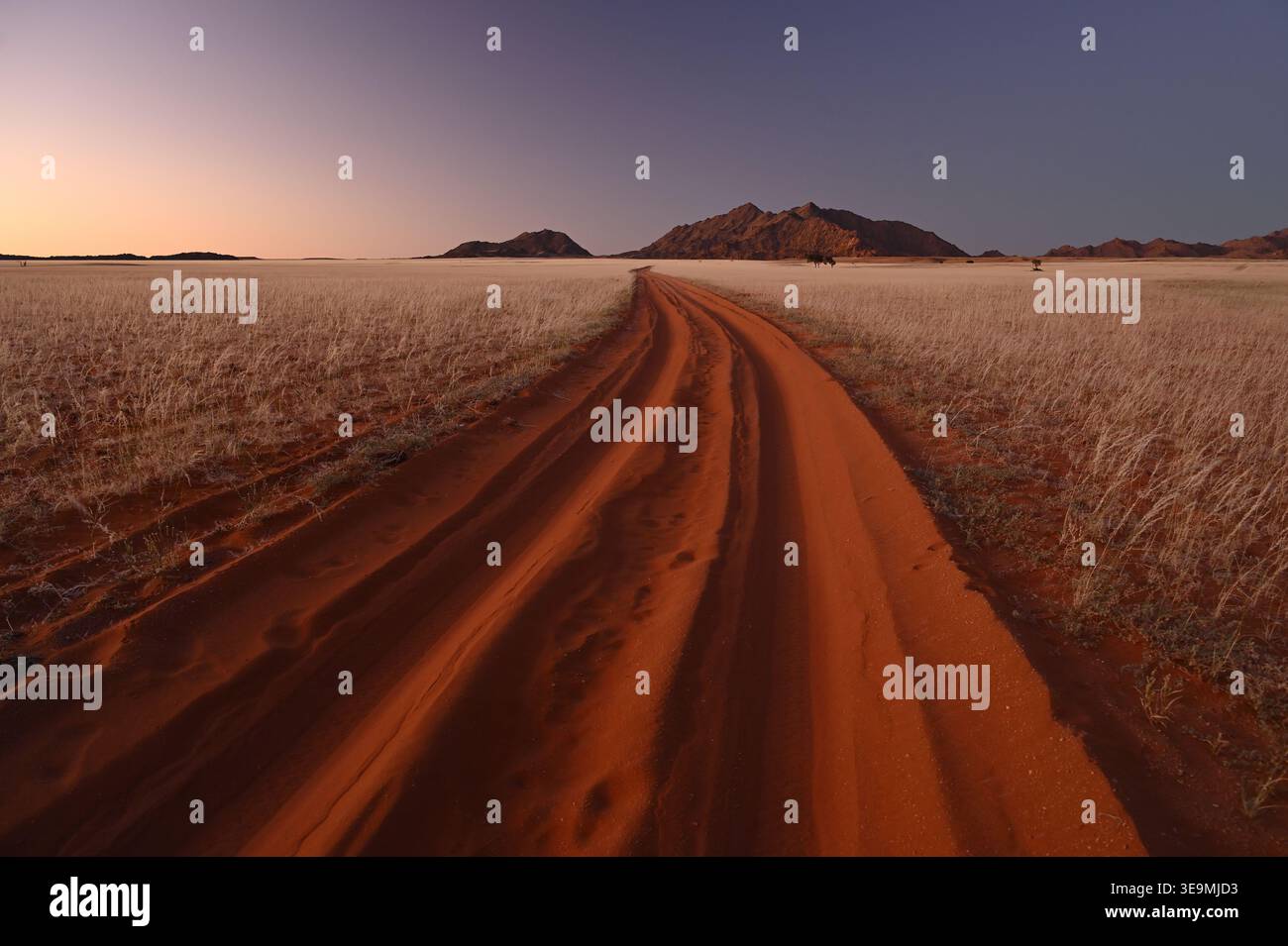 Strada di sabbia al crepuscolo, Sossusvlei, Namib-Naukluft National Park, Namibia Foto Stock