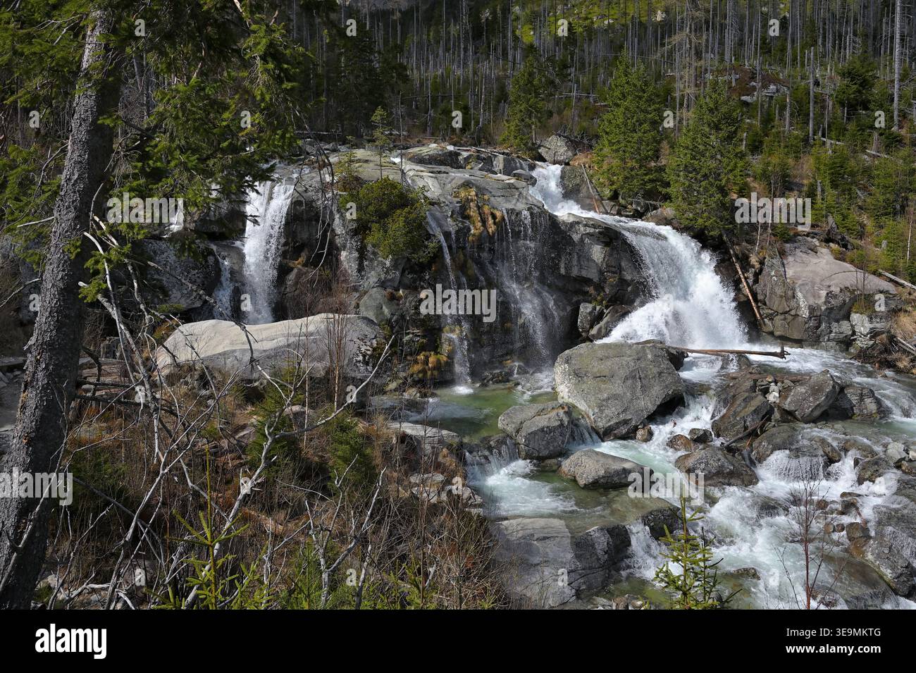 Cascate di Vodopády Studeného potoka nella valle di Malá Studená dolina. Monti Tatra, Slovacchia Foto Stock