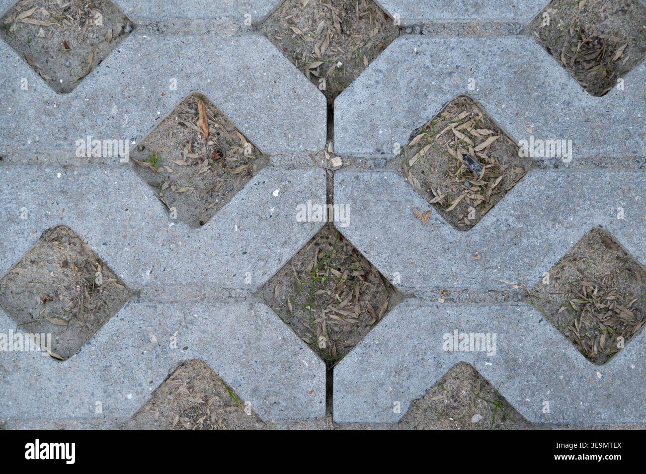 Blocchi di calcestruzzo con interblocco con riempimento di erba, superficie porosa per drenaggio, trama ravvicinata, sacche di terreno, soluzione di architettura paesaggistica sostenibile, parcheggio Foto Stock