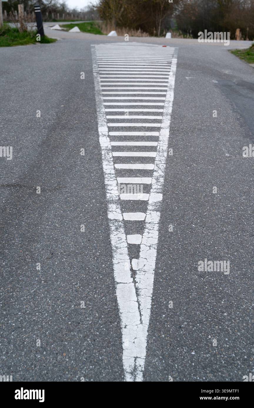 Segni a freccia bianca sull'asfalto che conducono all'intersezione, vernice usurata, marciapiede testurizzato, luce ricoperta, calma urbana, messa a fuoco direzionale, distanza g Foto Stock