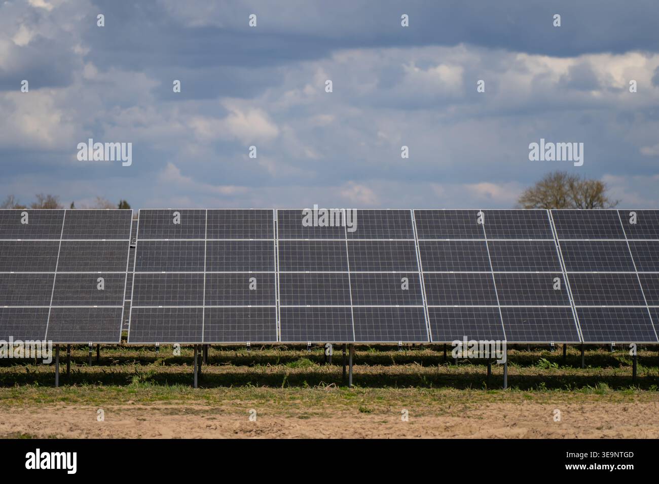 Lungo banco di pannelli solari in campagna con moduli a griglia e piedini di supporto in acciaio per gli investimenti nella generazione di energia in scala utility Foto Stock