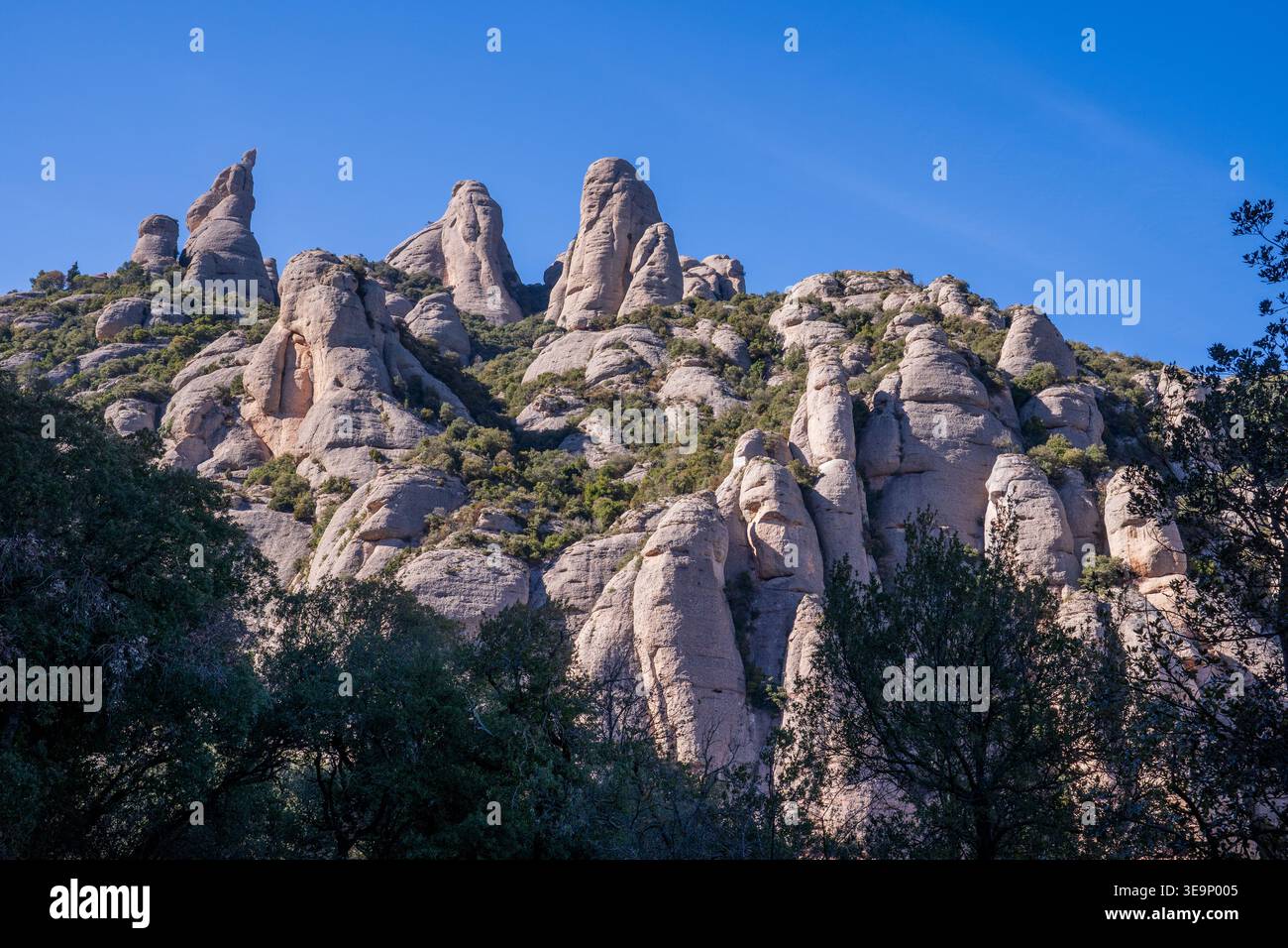 Splendida vista delle cime rocciose di Montserrat in Spagna. Le formazioni conglomerate, modellate dall'erosione, si trovano contro il cielo azzurro. La terra unica Foto Stock