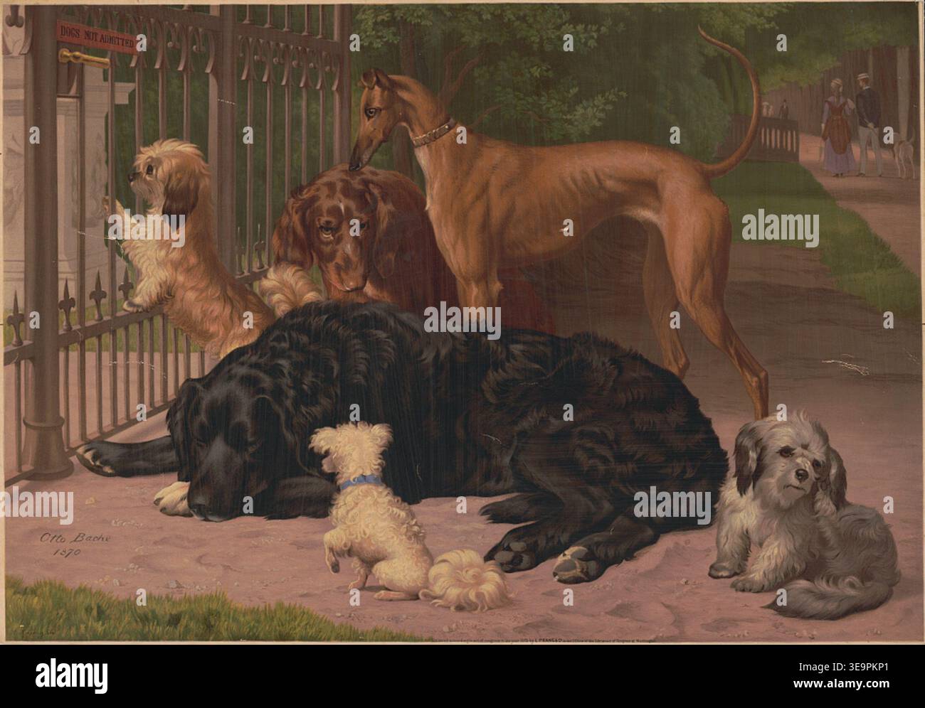 Illustrazioni storiche dal titolo cani non ammessi, che mostrano un gruppo di cani riuniti all'esterno di un cancello di ferro con un cartello che ne proibisce l'ingresso, tra cui varie razze che riposano e sbirciano all'interno di un parco. Creato negli Stati Uniti, intorno al 1872. Foto Stock