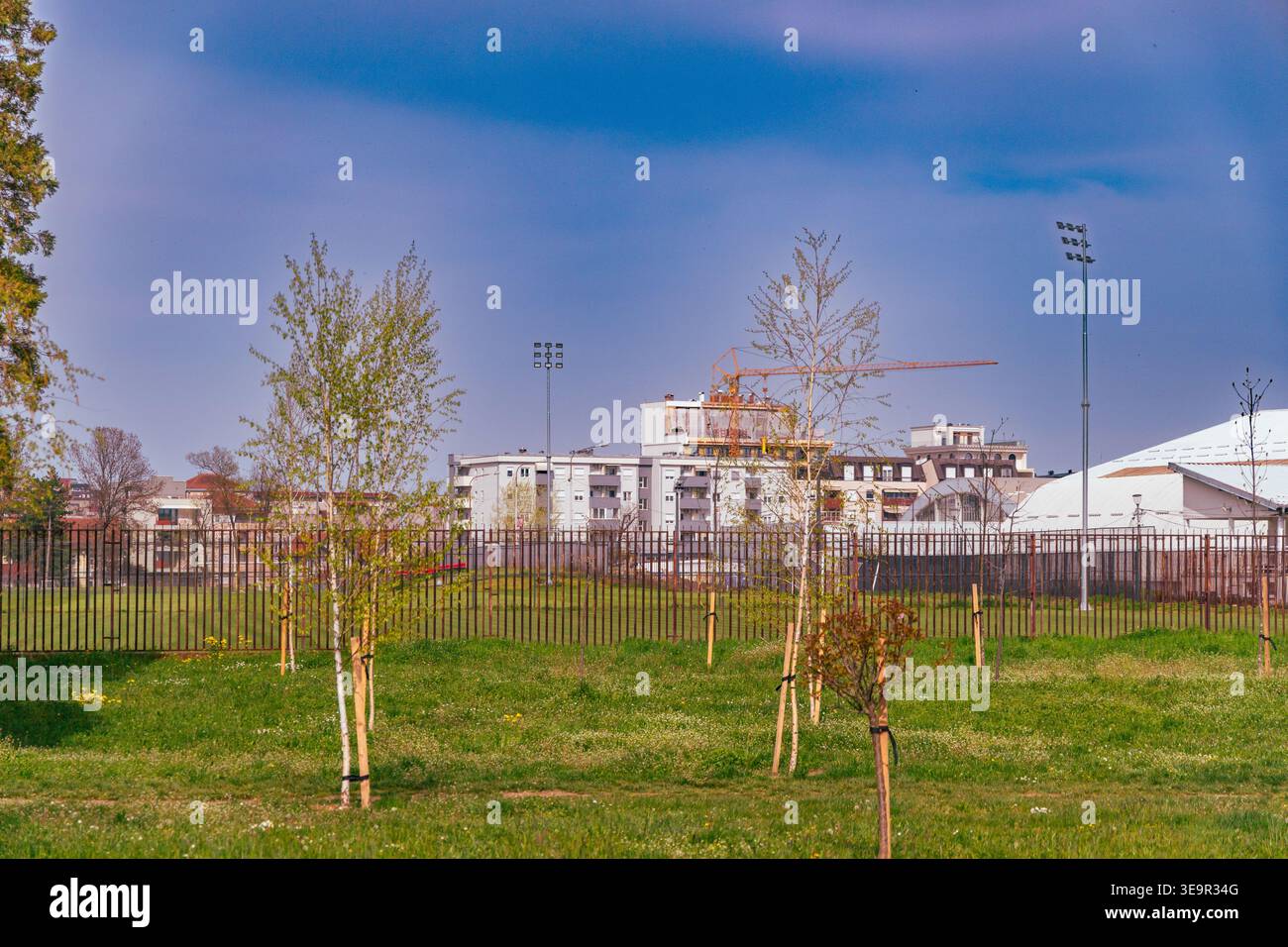 Gli alberi del parco urbano fronteggiano lo skyline delle costruzioni residenziali Foto Stock