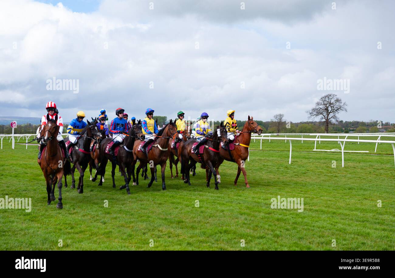 Il campo Gieves & Hawkes Novices handicap Chase si riunisce all'inizio. Crediti JTW equine Images / Alamy Foto Stock