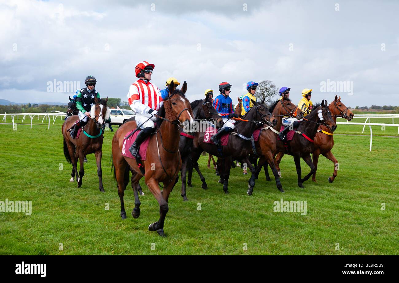 Il campo Gieves & Hawkes Novices handicap Chase si riunisce all'inizio. Crediti JTW equine Images / Alamy Foto Stock