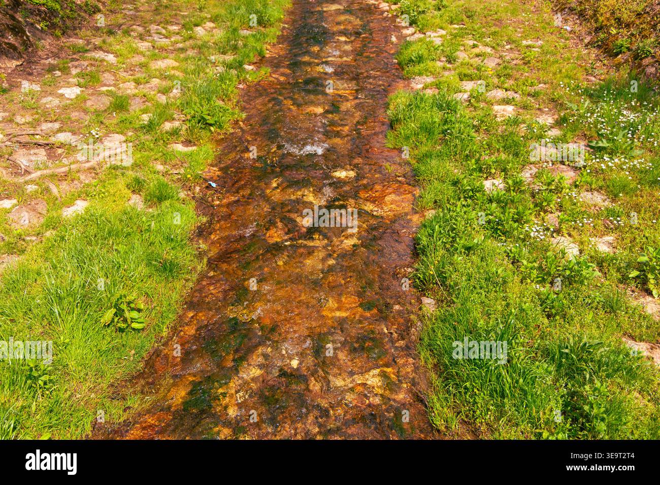 Ruscello roccioso poco profondo che scorre attraverso il lussureggiante prato Foto Stock
