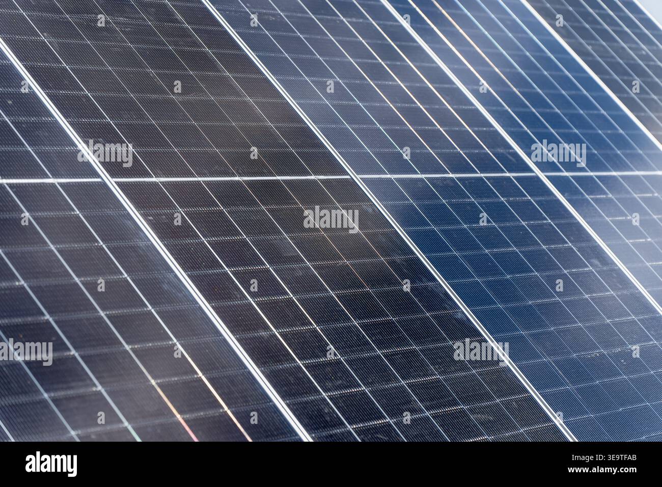Celle solari ad alta efficienza per investimenti professionali in aziende agricole a energia alternativa e sistemi di produzione di energia ecologica a sostegno del rinnovo globale Foto Stock