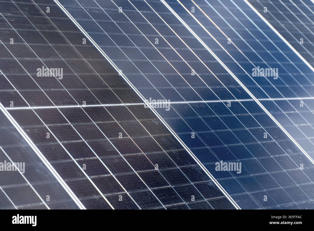 Celle solari ad alte prestazioni per investimenti professionali in aziende agricole a energia alternativa e sistemi di produzione di energia ecologica a supporto di reni globale Foto Stock