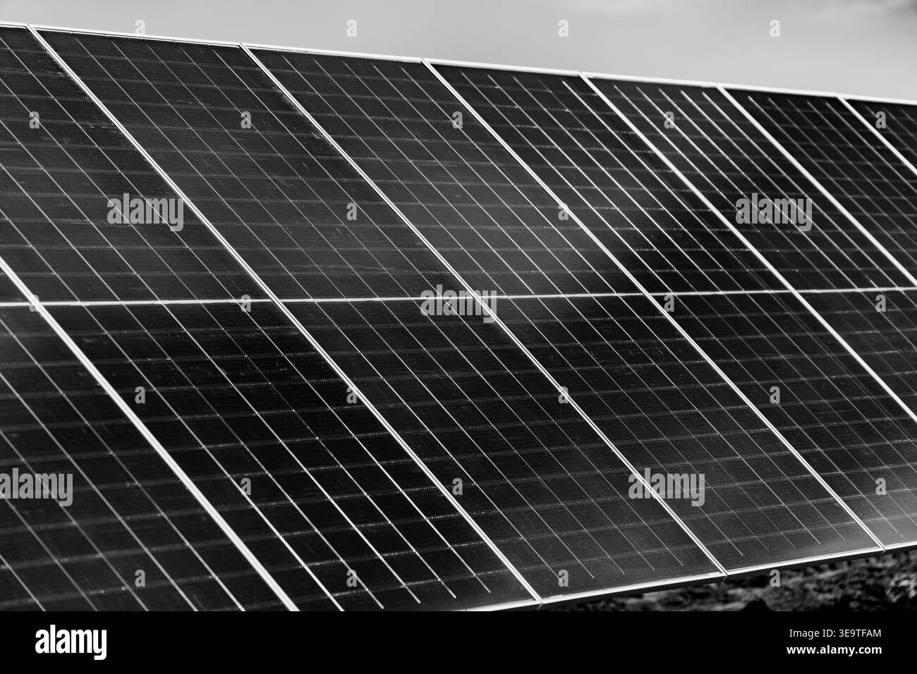 Foto artistiche in bianco e nero di moderni pannelli fotovoltaici installati in fila per la produzione di energia rinnovabile e l'energia industriale sostenibile Foto Stock