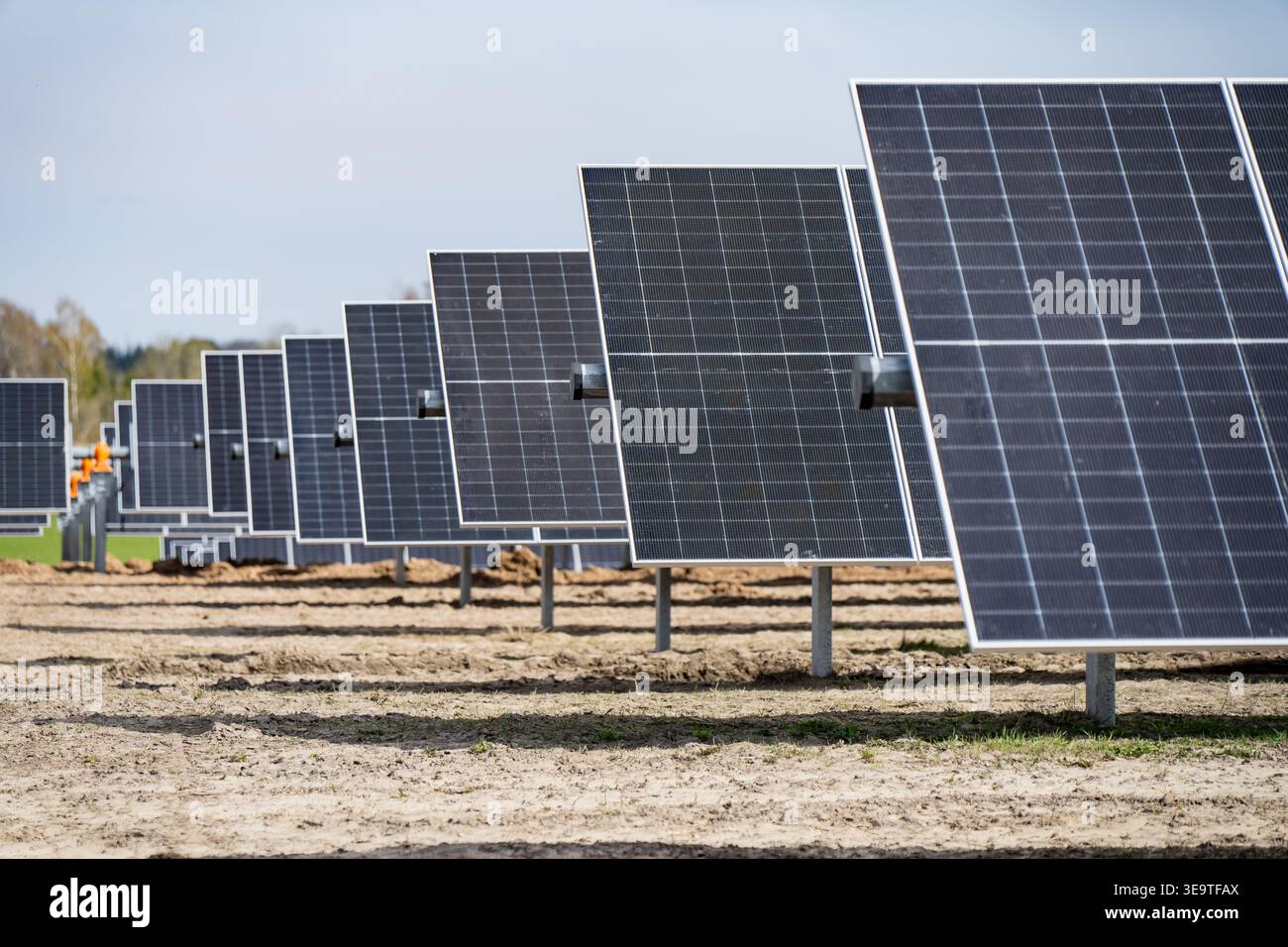 Moduli fotovoltaici montati a terra installati in array lunghi per progetti commerciali di impianti solari durante la fase di costruzione per generatori di energia elettrica pulita Foto Stock