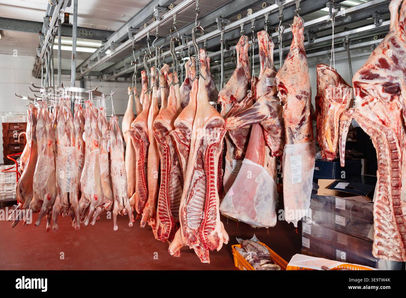 Al macello. Carcasse, carne di maiale cruda, manzo e montone, agganciate in congelatore Foto Stock