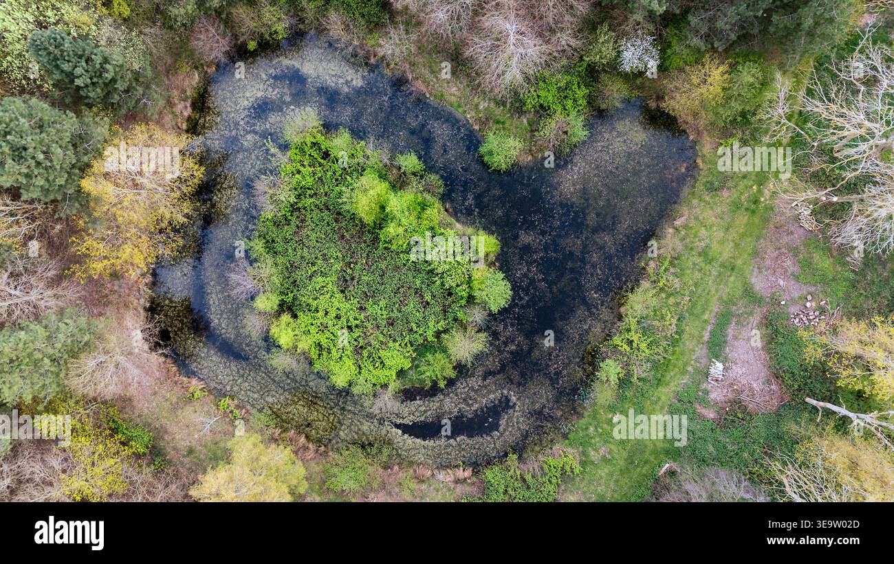 Una vista da sogno sul piccolo campo d'aviazione di russare di uno stagno artificiale circondato da alberi e cespugli maturi, North Norfolk, Regno Unito Foto Stock