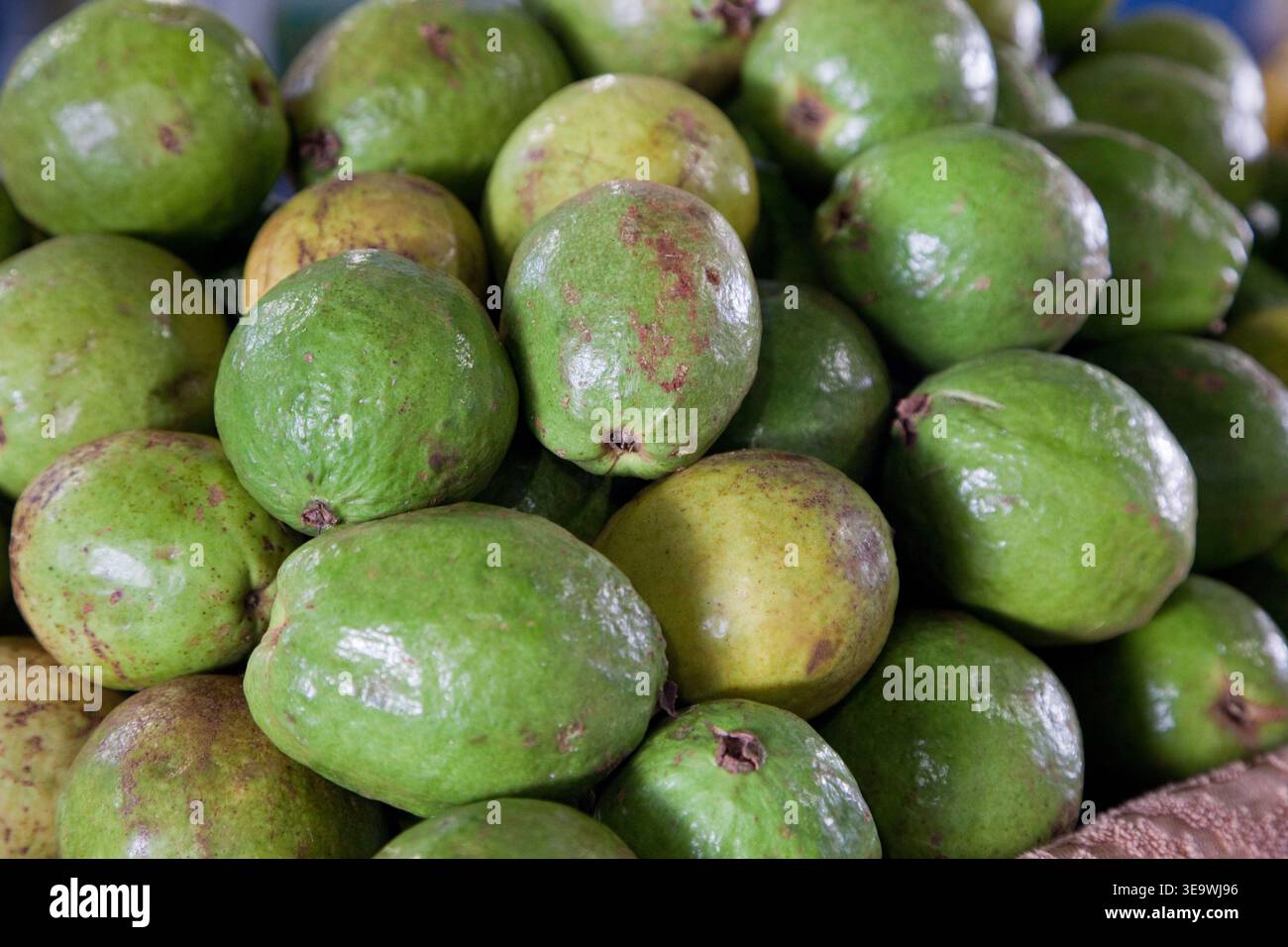 Cuba, l'Avana. Guava, Guayaba spagnola, frutta. Foto Stock