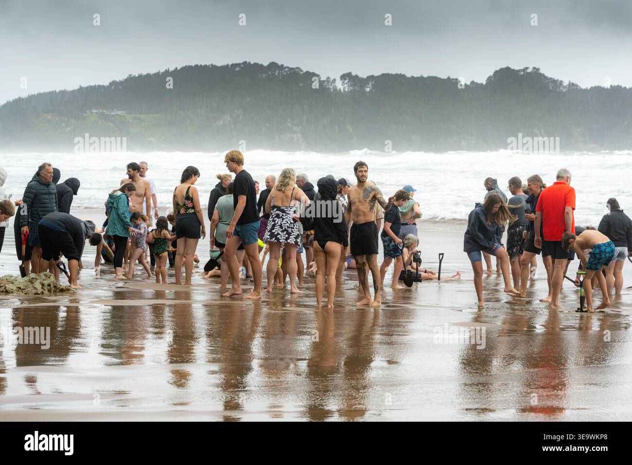 Scavando per l'acqua calda che percola dal sottosuolo della sabbia con la bassa marea, Hot Water Beach, penisola di Coromandel, Nuova Zelanda Foto Stock